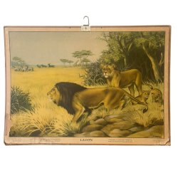 vintage skolaffisch lejon