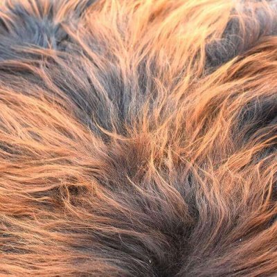 brunmelerat äkta fårskinn