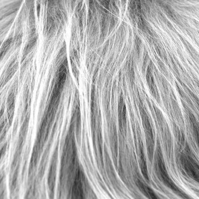 Fårskinn ljusgrå lång ull