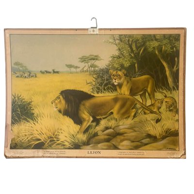 vintage skolaffisch lejon